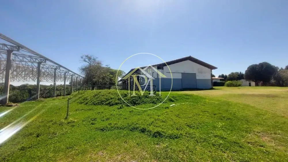 Fazenda, 48 hectares - Foto 7