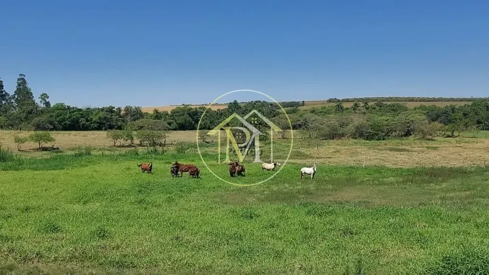 Fazenda, 48 hectares - Foto 11