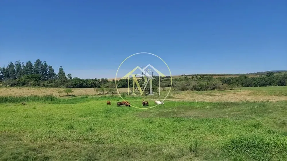 Fazenda, 48 hectares - Foto 12