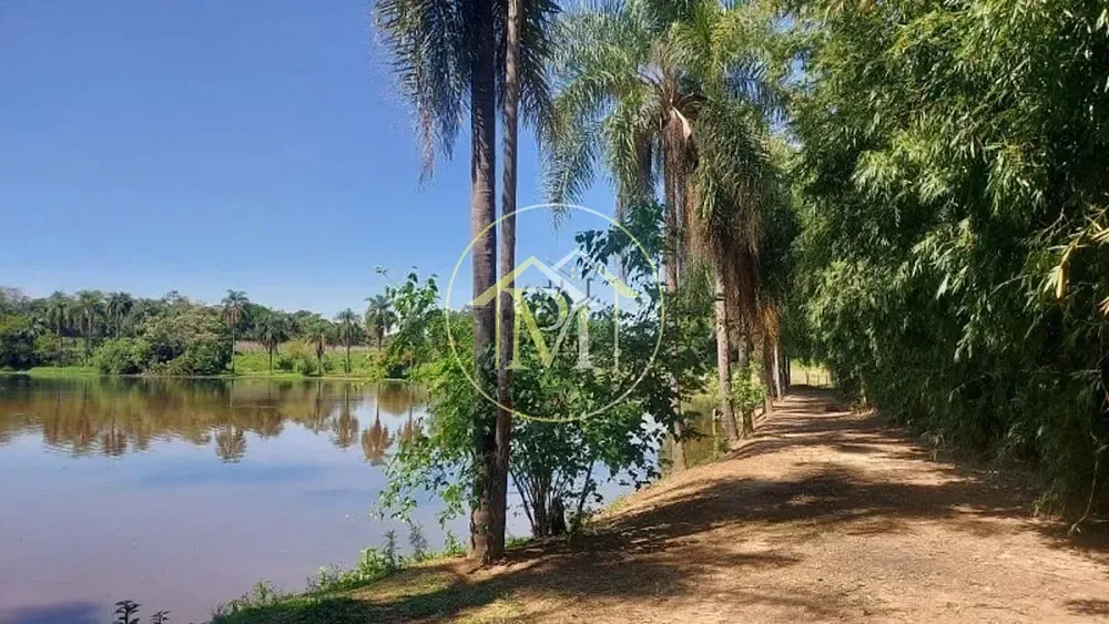 Fazenda, 48 hectares - Foto 9