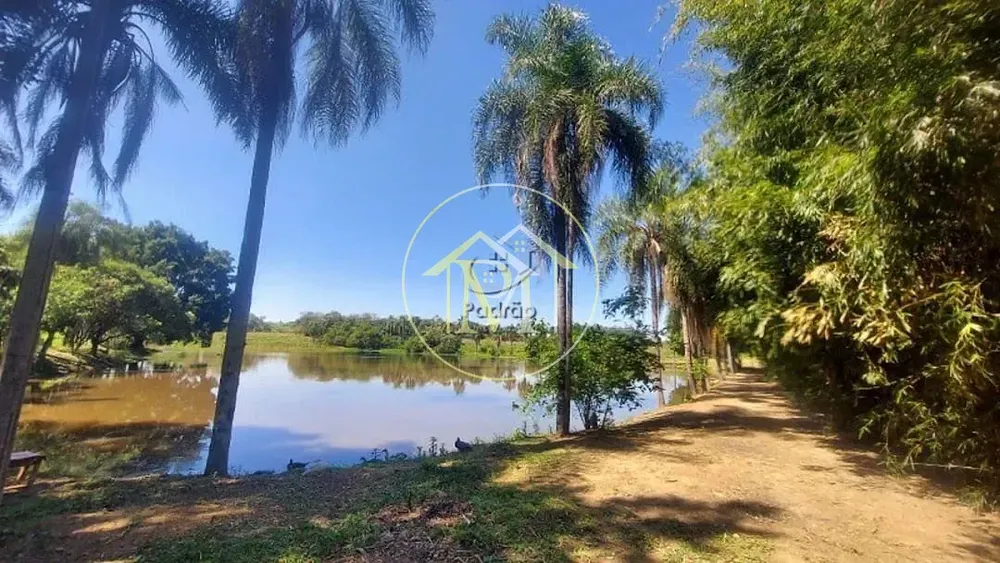 Fazenda, 48 hectares - Foto 10