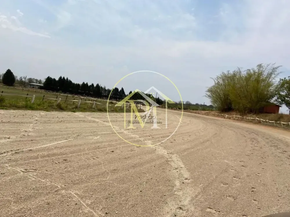 Fazenda, 52 hectares - Foto 7