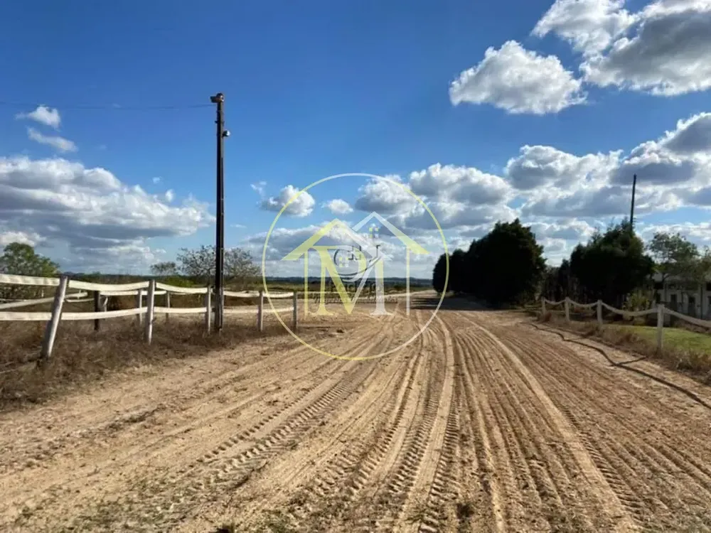 Fazenda, 52 hectares - Foto 10