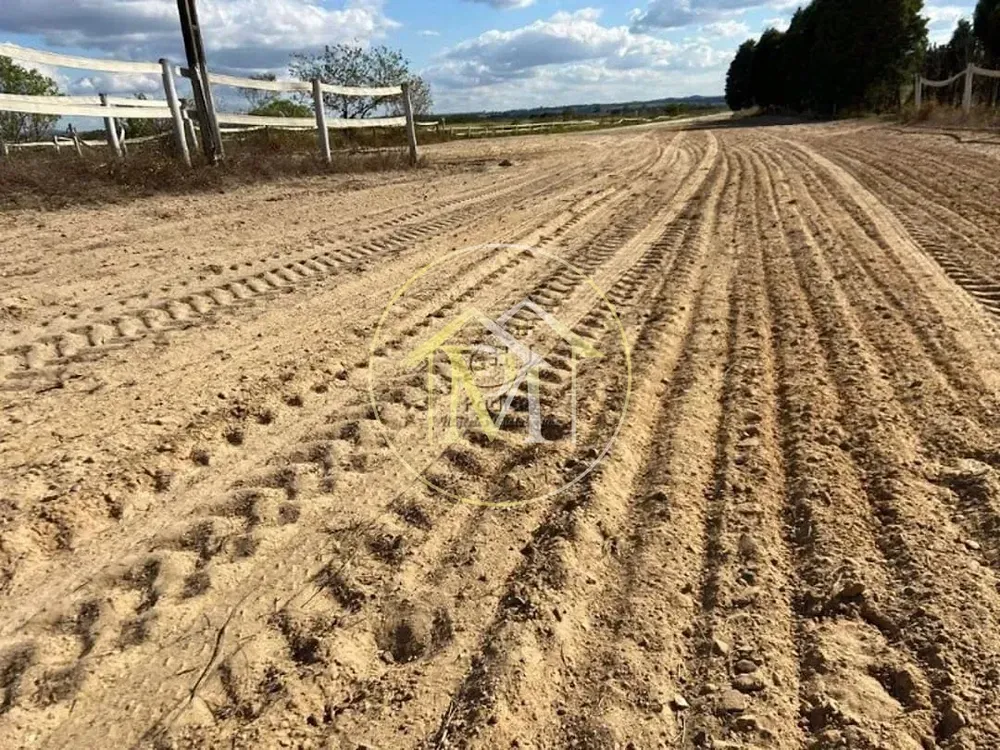 Fazenda, 52 hectares - Foto 6