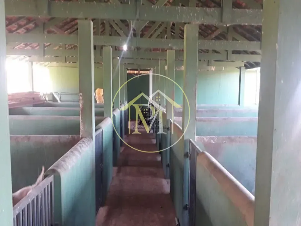 Fazenda, 12 hectares - Foto 7