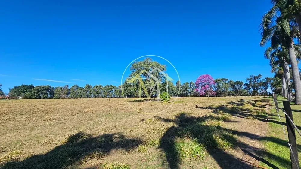 Sítio, 4 quartos, 6 hectares - Foto 2