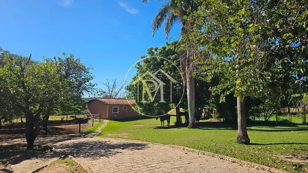 Sítio, 4 quartos, 6 hectares - Foto 4