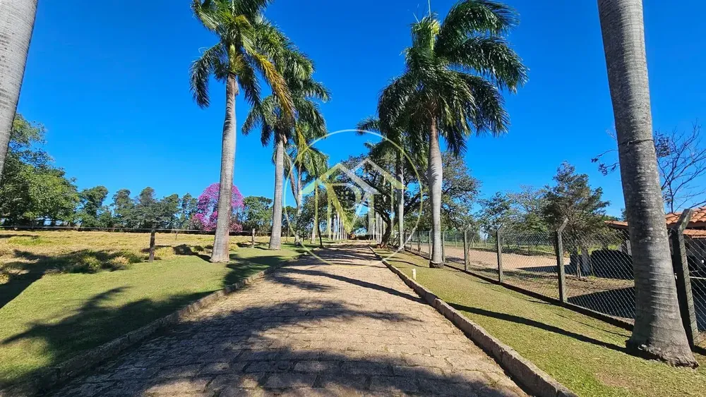 Sítio, 4 quartos, 6 hectares - Foto 1