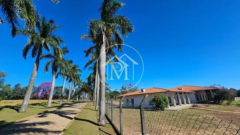 Sítio, 4 quartos, 6 hectares - Foto 3