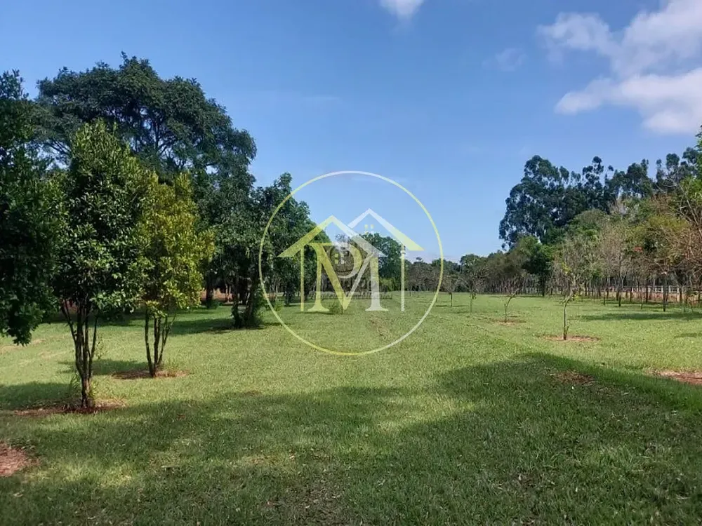 Terreno, 290 hectares - Foto 4