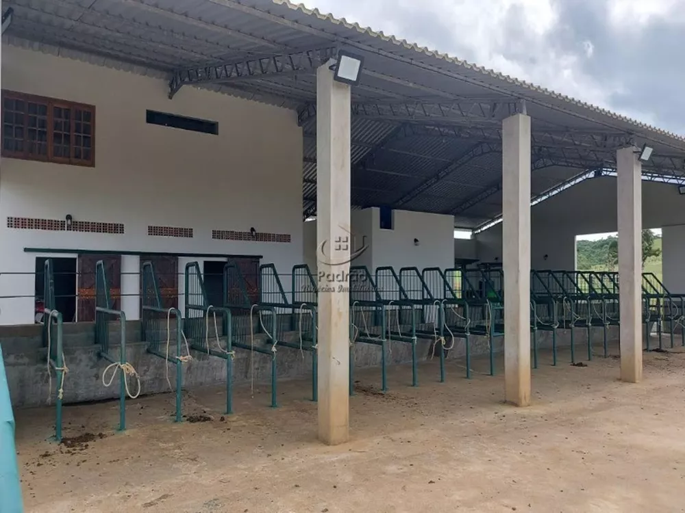 Haras e Área Rural Padrão à venda com 1 quarto, 847000m² - Foto 1