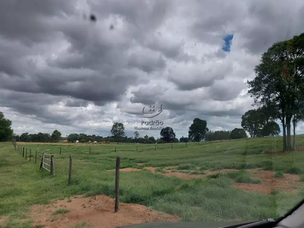 Haras e Área Rural Padrão à venda com 1 quarto, 847000m² - Foto 2