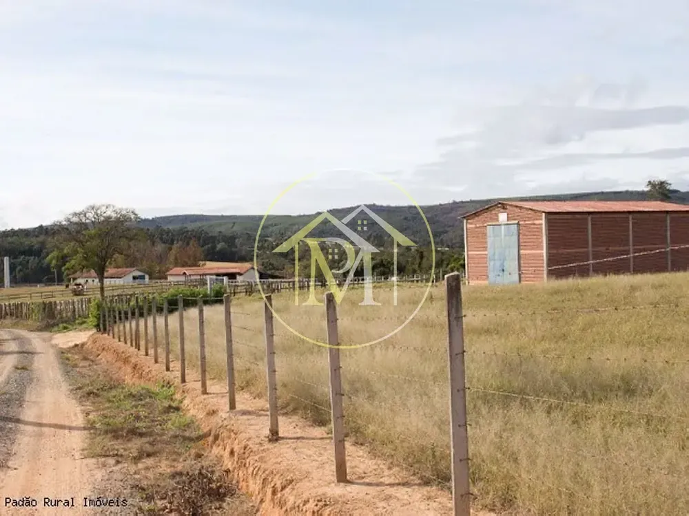 Fazenda, 36 hectares - Foto 4
