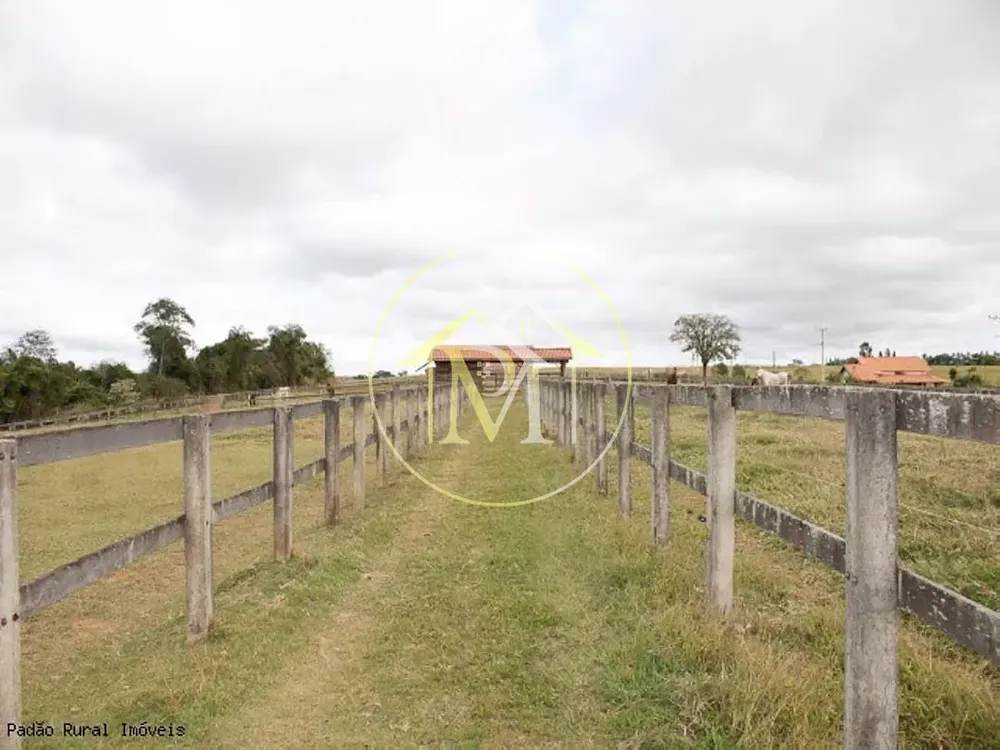 Fazenda, 36 hectares - Foto 12