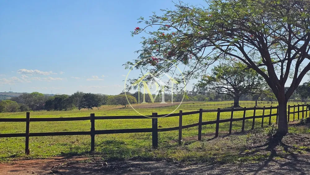 Fazenda, 77 hectares - Foto 12