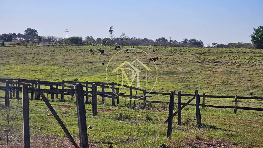 Fazenda, 77 hectares - Foto 6