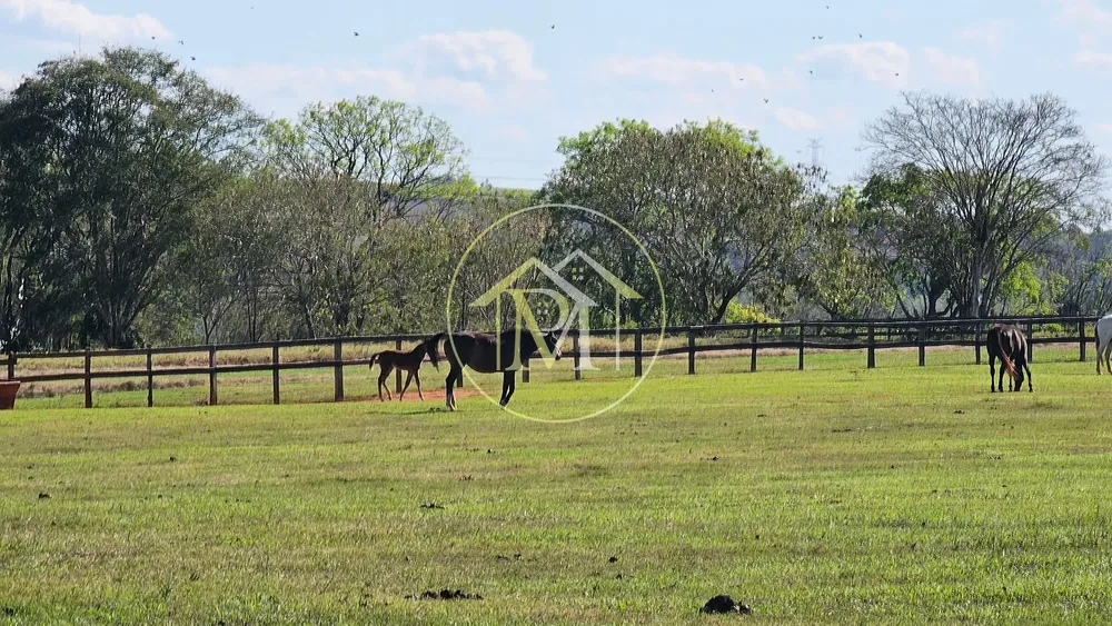 Fazenda, 77 hectares - Foto 7