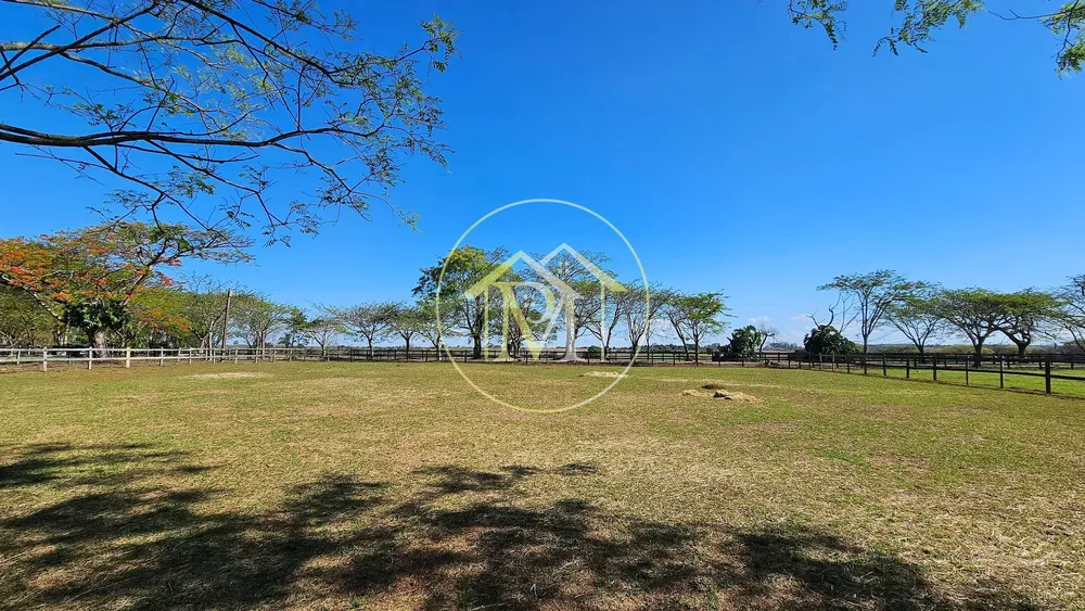 Fazenda, 77 hectares - Foto 4