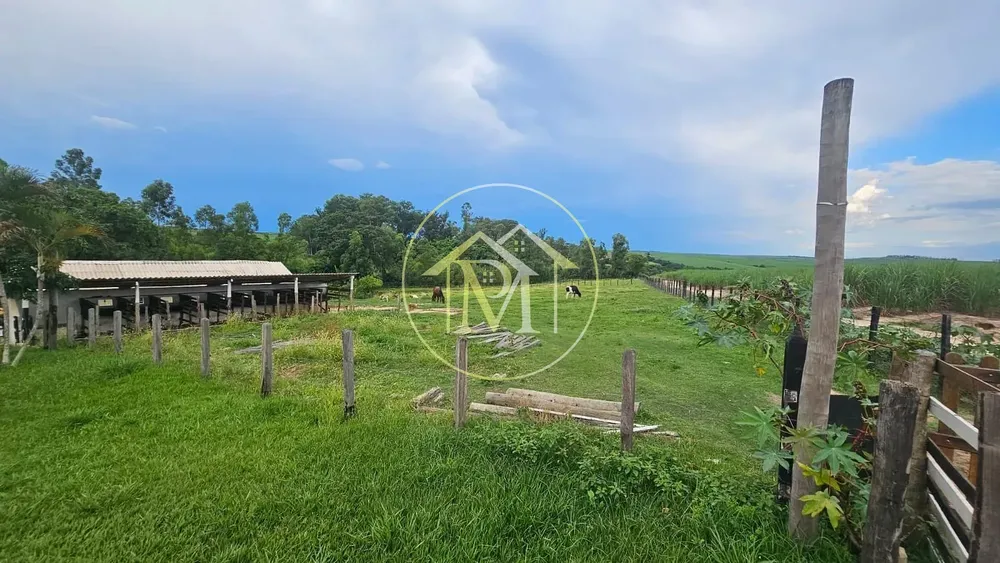 Fazenda, 5 hectares - Foto 8