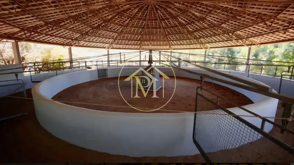Fazenda, 39 hectares - Foto 1