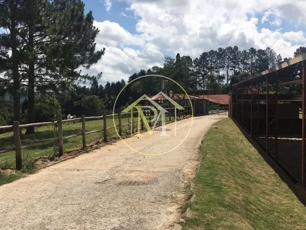 Fazenda, 10 hectares - Foto 3