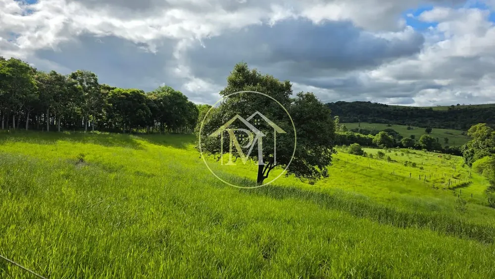 Fazenda, 13 hectares - Foto 3