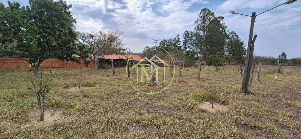 Chácara, 3 quartos, 2 hectares - Foto 11