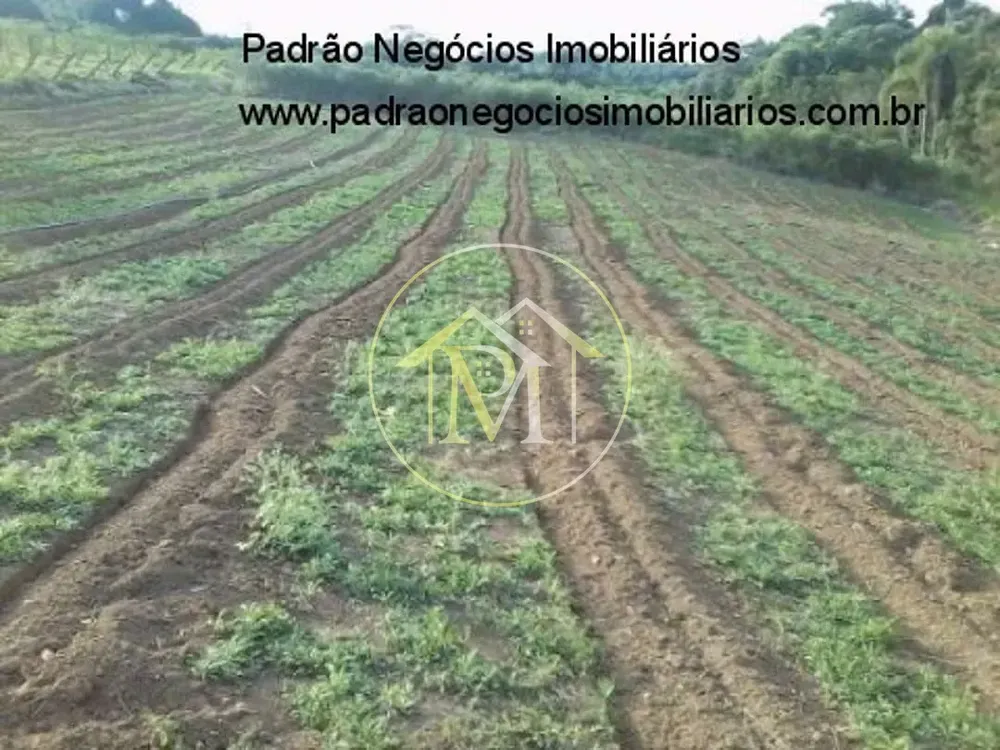 Sítio, 3 quartos, 22 hectares - Foto 7