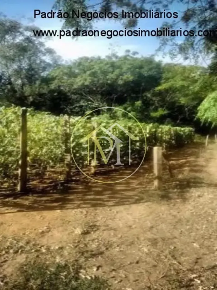 Sítio, 3 quartos, 22 hectares - Foto 11