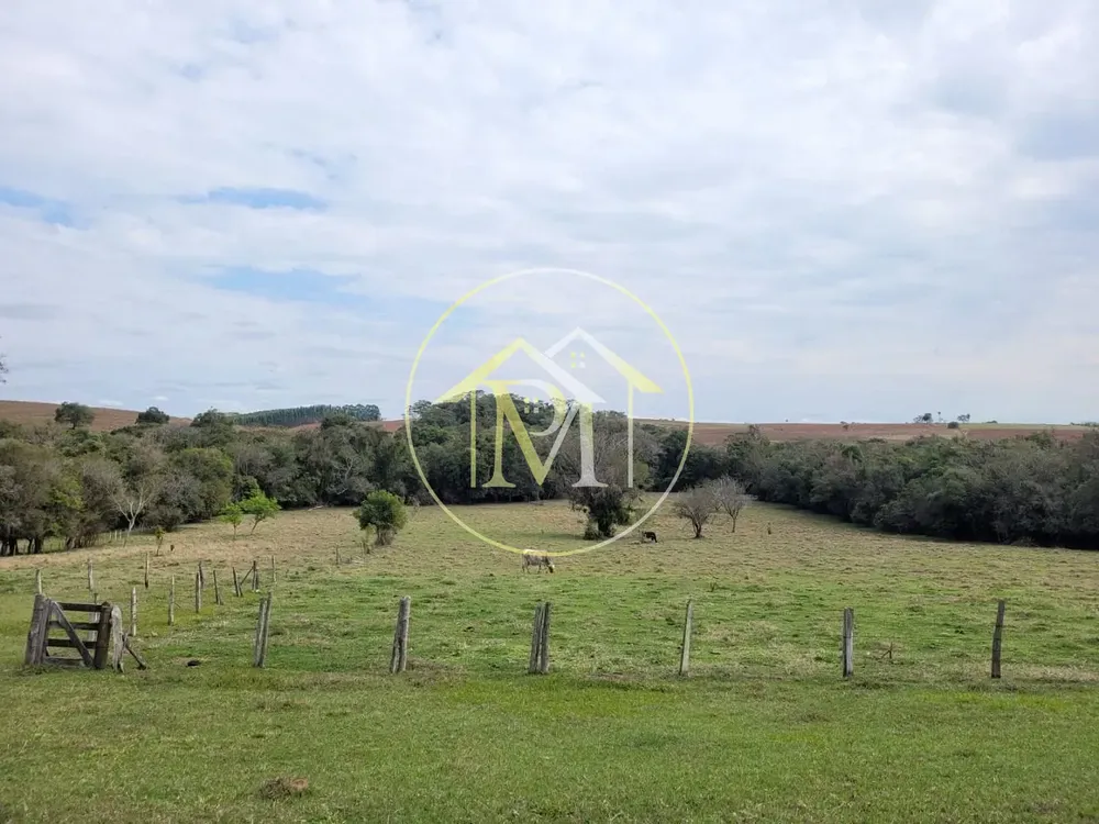 Chácara, 5 quartos, 5 hectares - Foto 3