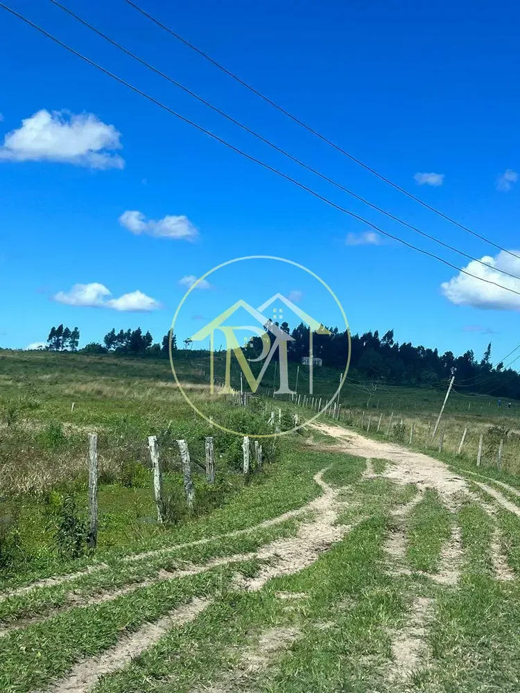 Fazenda, 126 hectares - Foto 15
