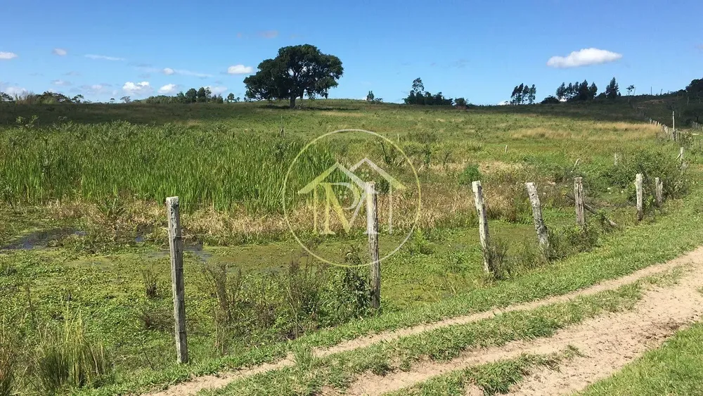 Fazenda, 126 hectares - Foto 57