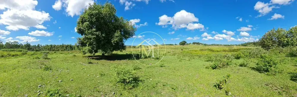 Fazenda, 126 hectares - Foto 48