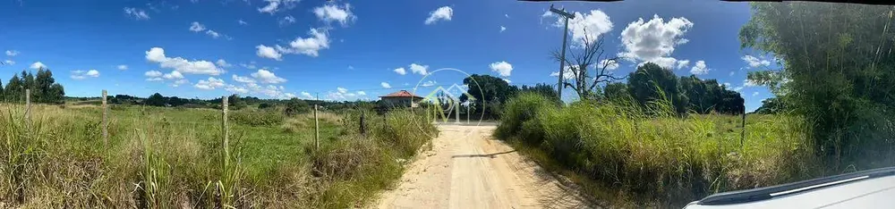 Fazenda, 126 hectares - Foto 7