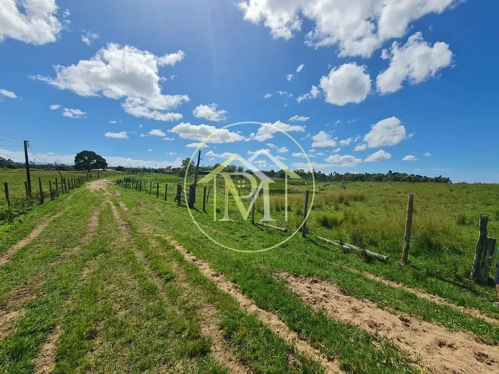 Fazenda, 126 hectares - Foto 44