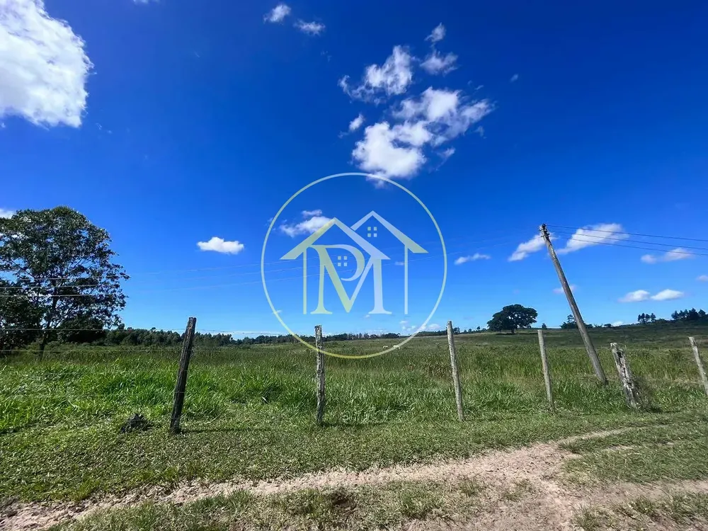 Fazenda, 126 hectares - Foto 14