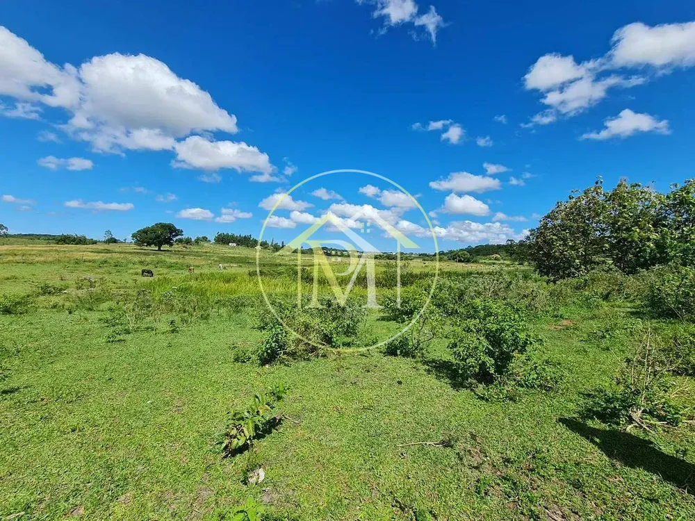 Fazenda, 126 hectares - Foto 38