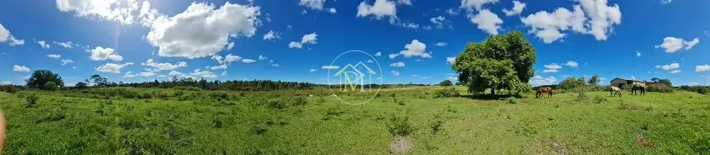 Fazenda, 126 hectares - Foto 34