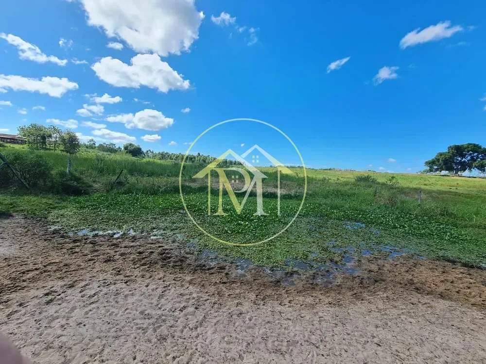 Fazenda, 126 hectares - Foto 43