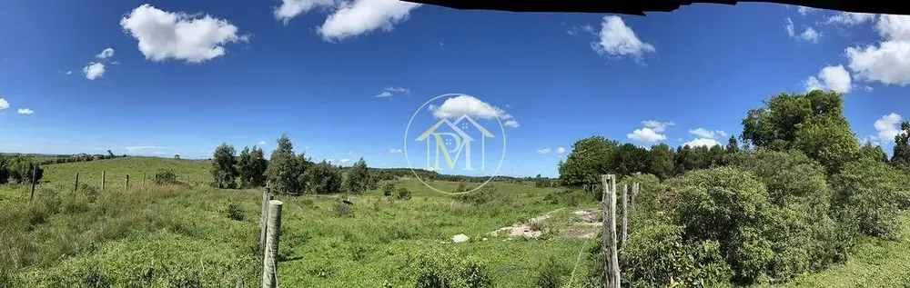 Fazenda, 126 hectares - Foto 19