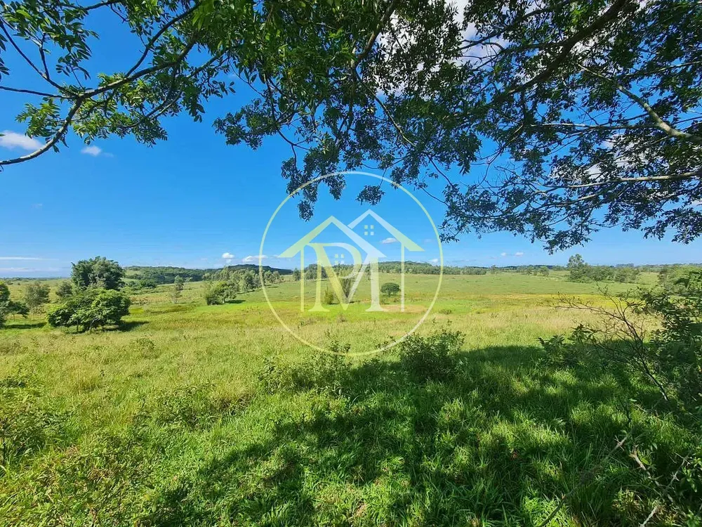 Fazenda, 126 hectares - Foto 30