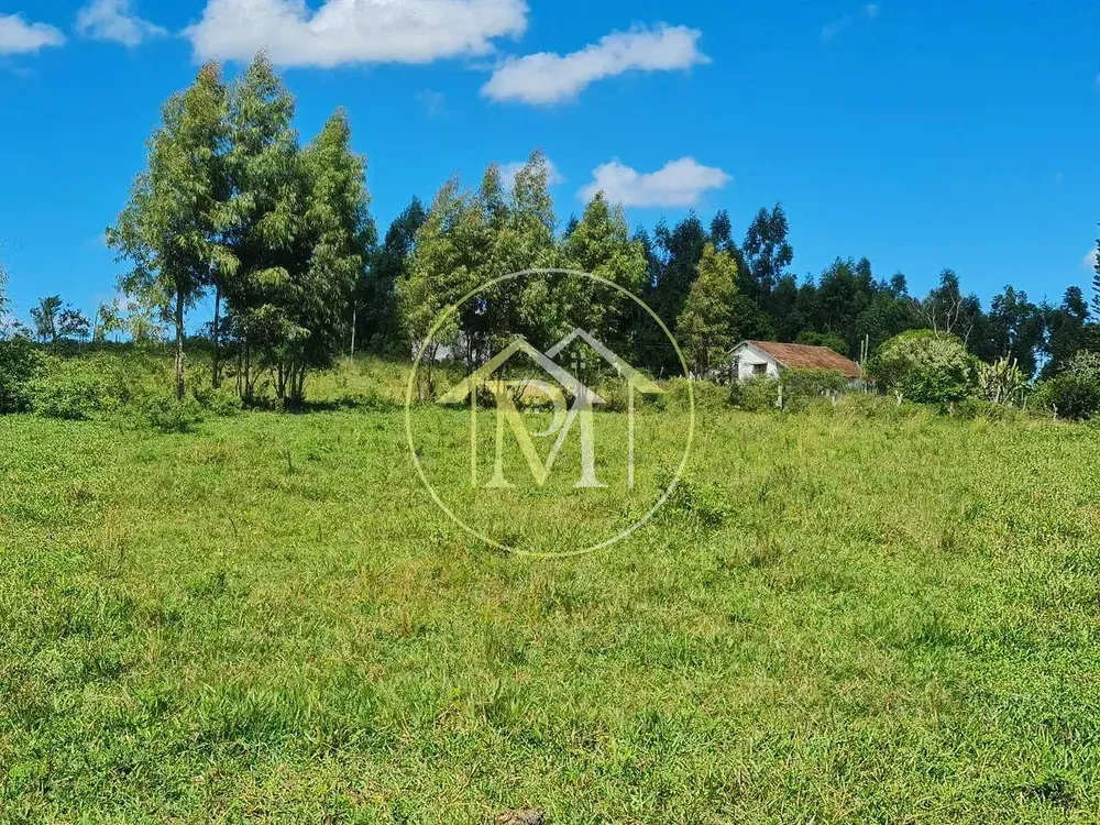 Fazenda, 126 hectares - Foto 27