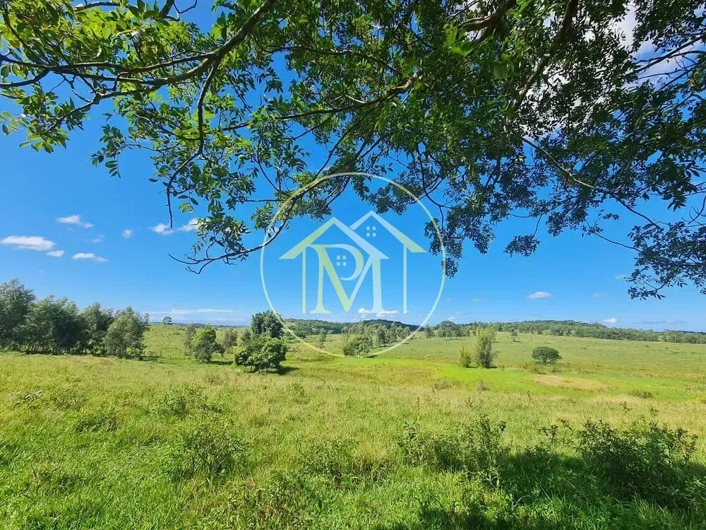 Fazenda, 126 hectares - Foto 25