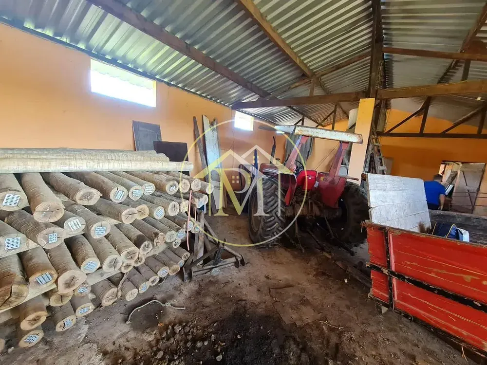 Fazenda, 126 hectares - Foto 40