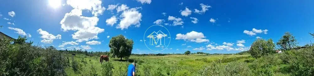 Fazenda, 126 hectares - Foto 31