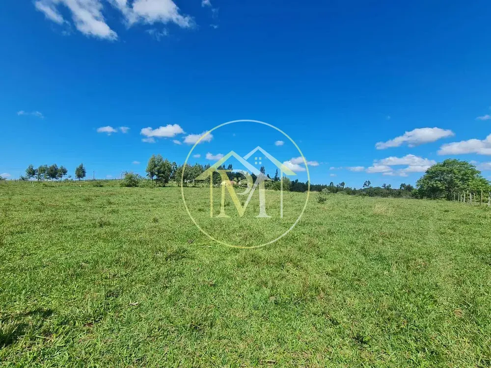 Fazenda, 126 hectares - Foto 28