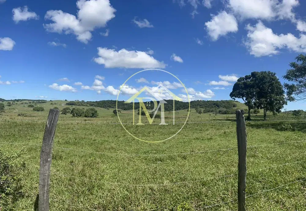 Fazenda, 126 hectares - Foto 2
