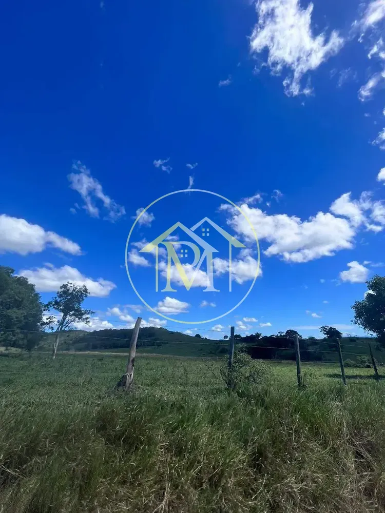 Fazenda, 126 hectares - Foto 4
