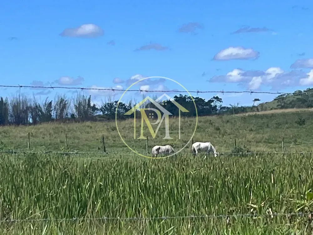 Fazenda, 126 hectares - Foto 16