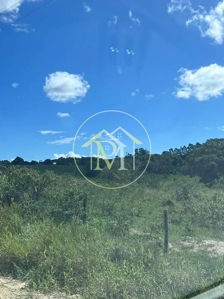 Fazenda, 126 hectares - Foto 6